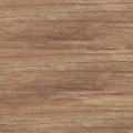 5114_Platan_Stary-360x360.jpg