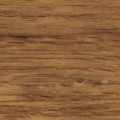609_Sosna_Zwyczajna-360x360.jpg