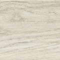 404_Oak_Auckland_small_Easy-Resize.com_-360x360.jpg