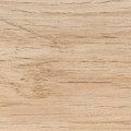 405_Oak_Melbourne_small_Easy-Resize.com_-360x360.jpg