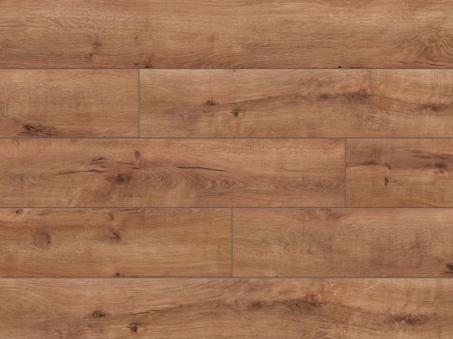 52606 - Trend 4V - Wostok Oak - L3875.jpg