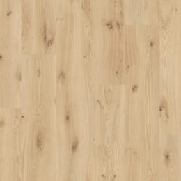 querra-vox-magna-plus-dab-alva_w260-h260-q95.jpg