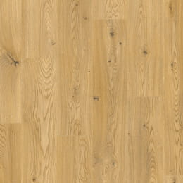 querra-vox-magna-dab-evra_w260-h260-q95.jpg