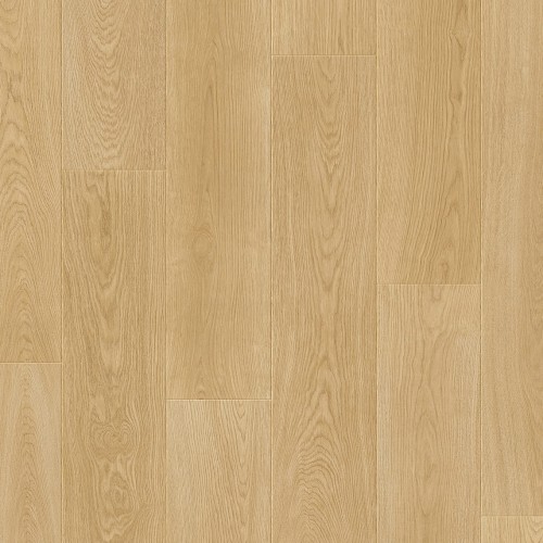 querra-supra-dab-ilex.jpg
