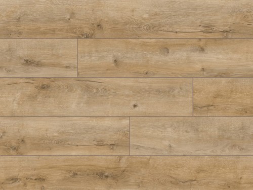52607 - Trend 4V - Baikal Oak - L3899.jpg