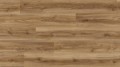 K2242 Oak Cordoba Noble RC - 04.jpg
