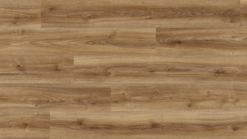 K2242 Oak Cordoba Noble RC - 04.jpg