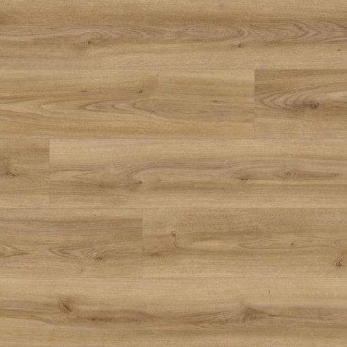K2239 Oak Cordoba Elegante RC - 02.jpg