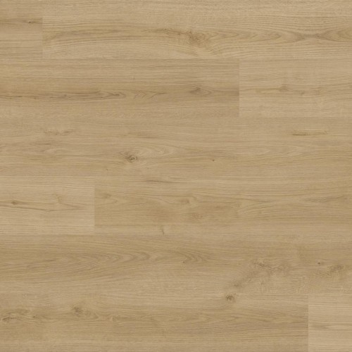 O442 Oak Evoke Natural HG - 02.jpg