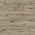 O253 Oak Almada HG - 02.jpg