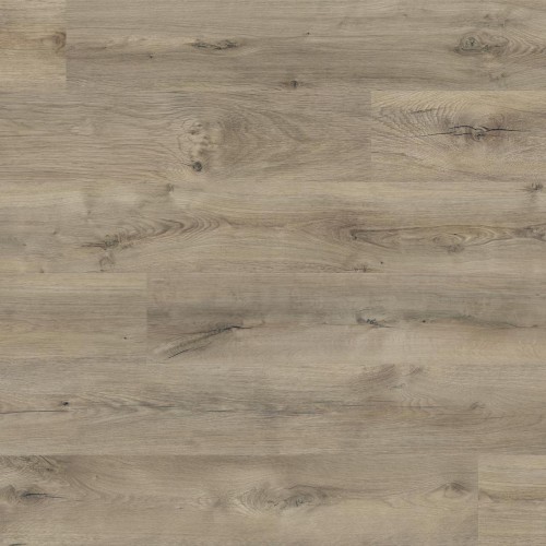O253 Oak Almada HG - 02.jpg