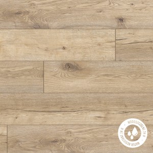 Panele podłogowe Dąb Calda AC5 8mm Classen