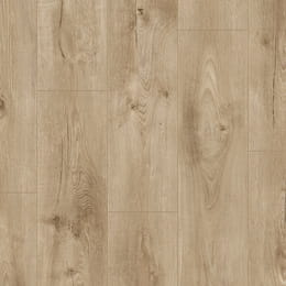 querra-vox-magna-dab-sargas_w260-h260-q95.jpg